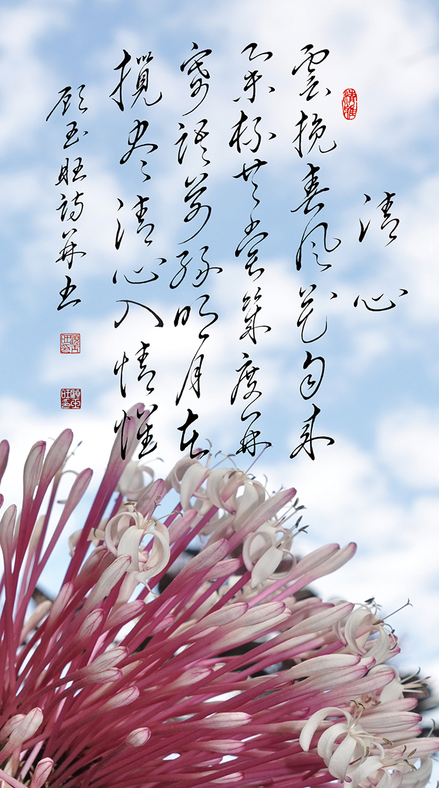 3顾玉旺作品《清心》注释：云挽春风花自来，举杯共赏几度开。寄语前缘明月在，揽尽清心入情怀。.jpg
