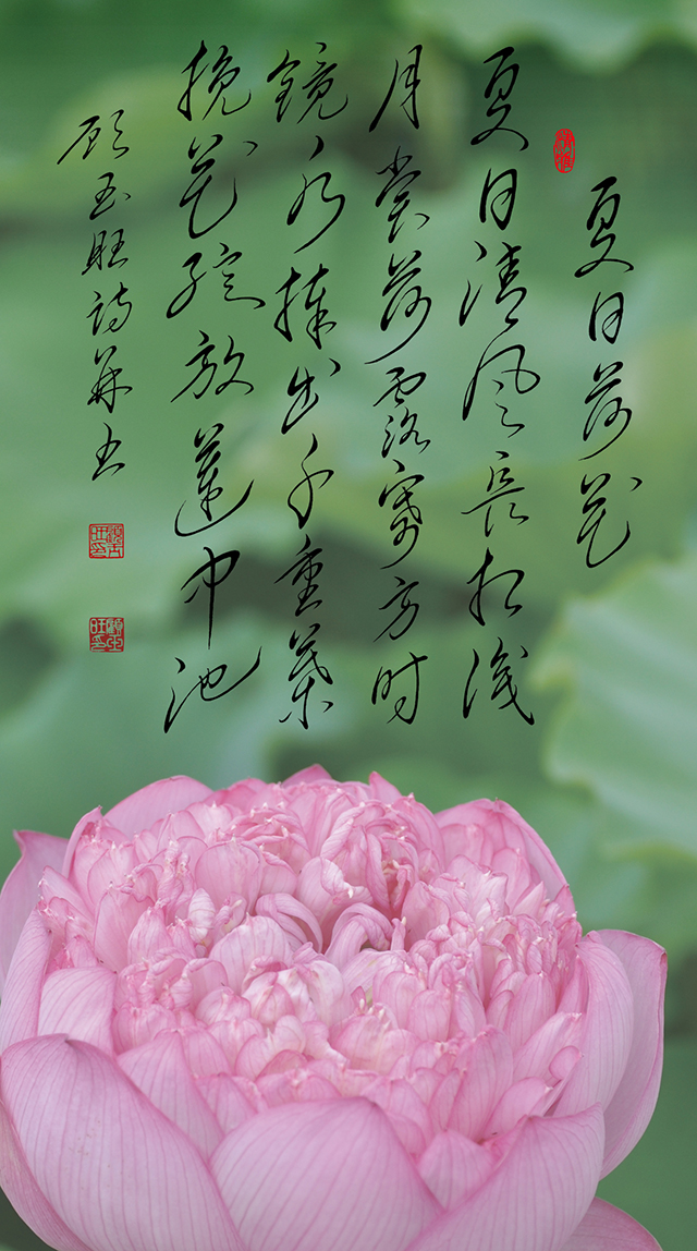 4顾玉旺作品《夏日荷花》注释：夏日清风长相识，月赏荷露寄方时。镜水捧出千重叶，挽花绽放莲中池。.jpg