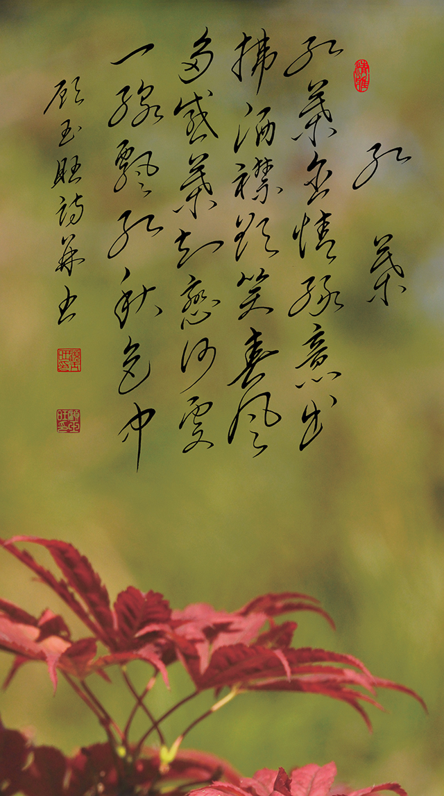 6顾玉旺作品 《红叶》释文：红叶含情绿意出，拂洒襟欲笑春风。多感叶知恋何处，一线飘红秋色中。.jpg
