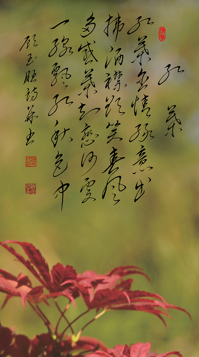 6顾玉旺作品 《红叶》释文：红叶含情绿意出，拂洒襟欲笑春风。多感叶知恋何处，一线飘红秋色中。.jpg