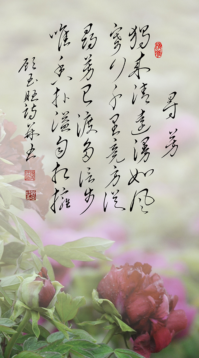 7顾玉旺作品 《寻芳》释文：独来清远漫如风，寄行千里竟方从。寻芳已渡多信步，唯香扑溢自相拥。.jpg