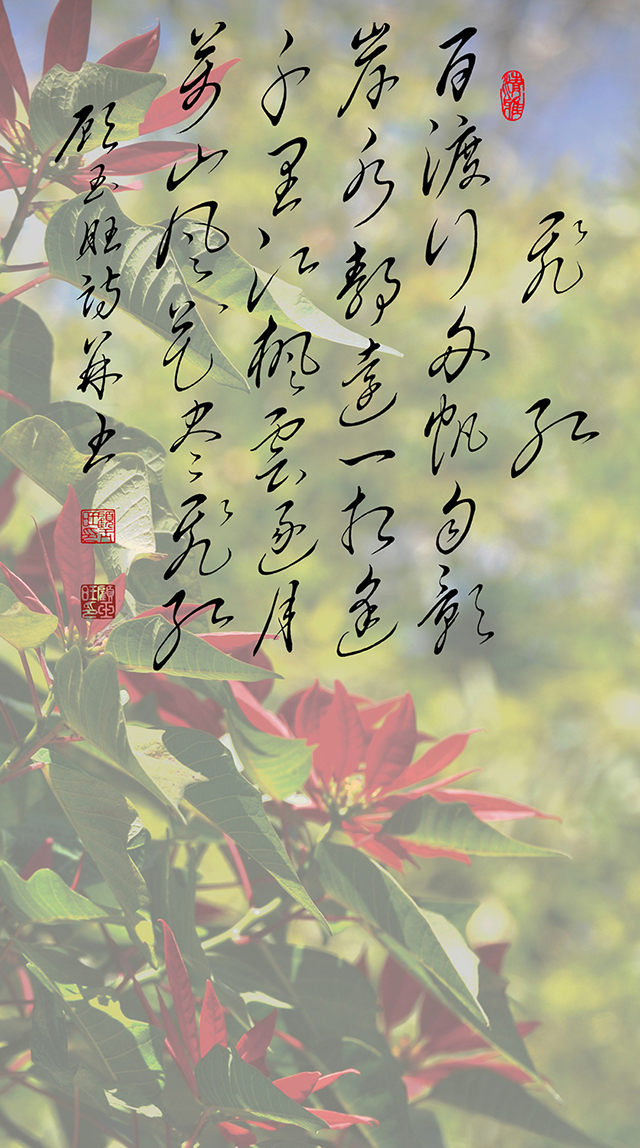 10顾玉旺作品《飞红》注释：百渡行舟帆自影，岸水静远一相逢。千里江枫云逐月，万山风花尽飞红。 (2).jpg
