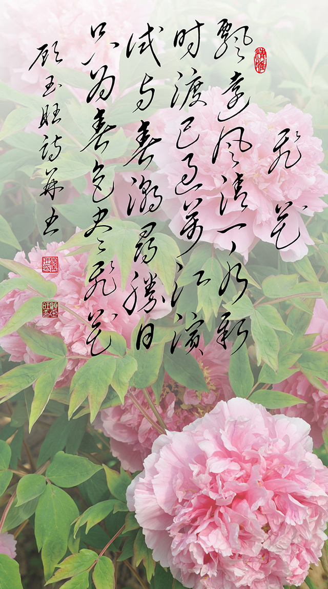 19顾玉旺作品《飞花》注释：飘远风清一水新，时渡已过万江滨。试与春潮寻胜日，只为春色尽飞花。.jpg