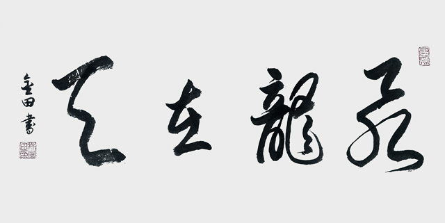 林金田作品6《飞龙在天》.jpg