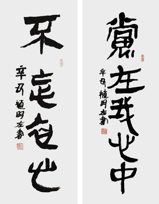 植明作品6--左书《党在我心中-不忘初心》.jpg