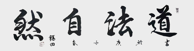 程福田作品5《道法自然》.jpg