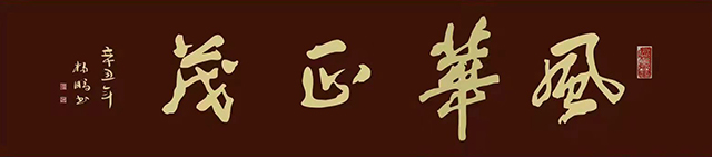 杨鹏作品7《风华正茂》.jpg