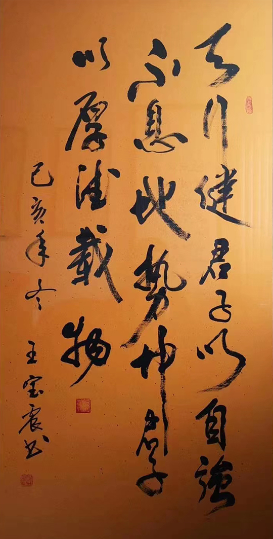 王宝震作品9《天行健君子以自强不息  地势坤君子以厚德载物》.jpg