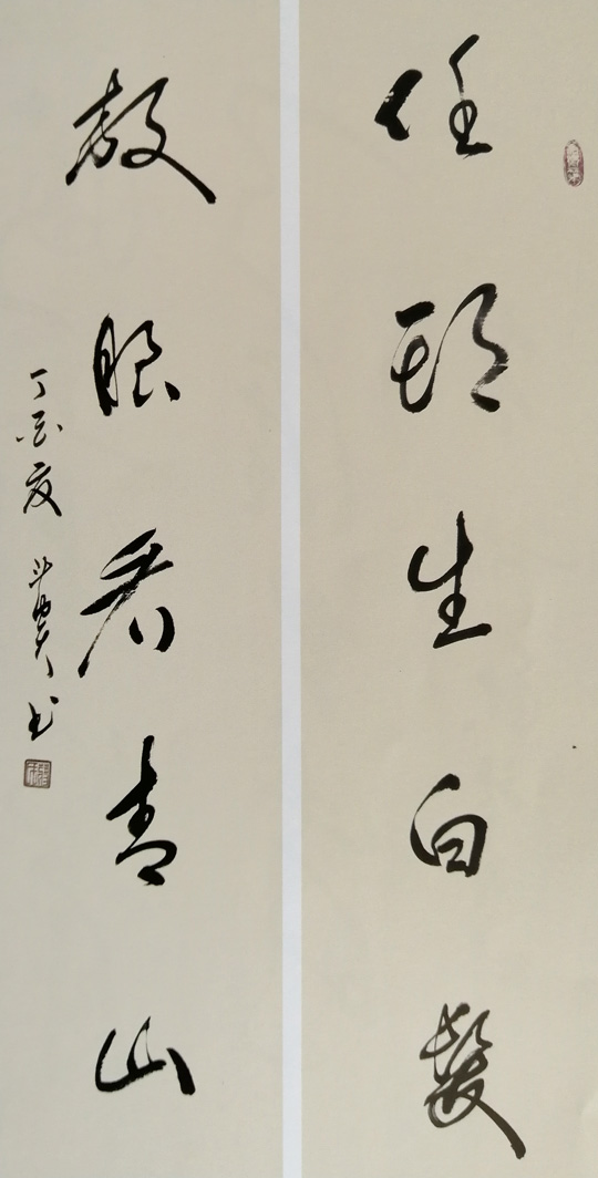 蒋斗贵作品3《任头-放眼》联.jpg