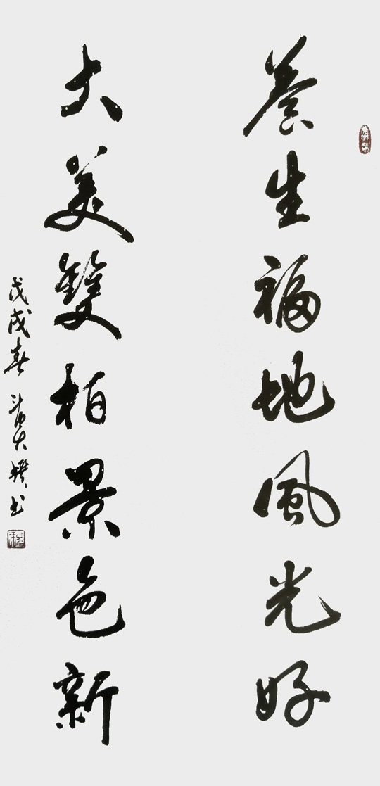 蒋斗贵作品6《养生-大美》联.jpg