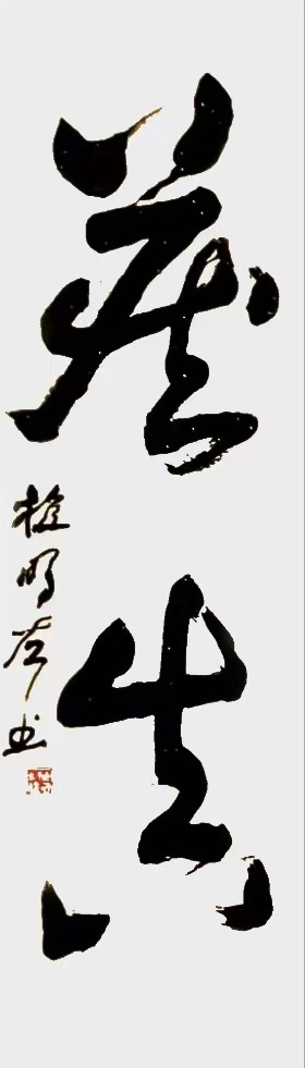 植明作品3--左书《藏真》.jpg