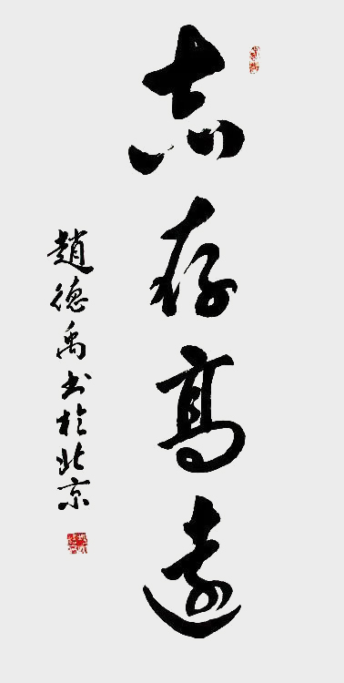 赵德禹作品5《志存高远》.jpg