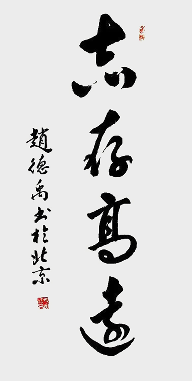 赵德禹作品5《志存高远》.jpg