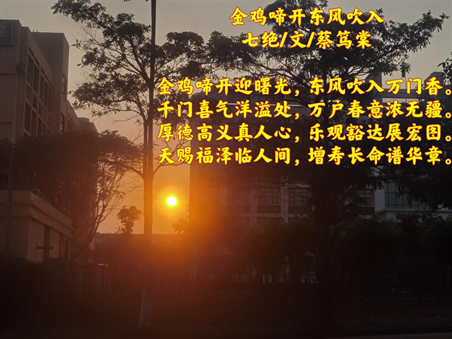 图片 4.png