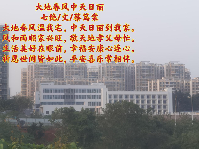 图片 5.png
