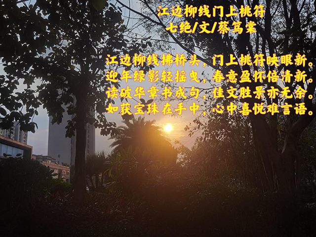 图片 6.png