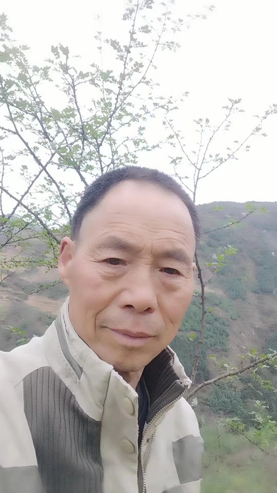杨志文个人照片.jpg