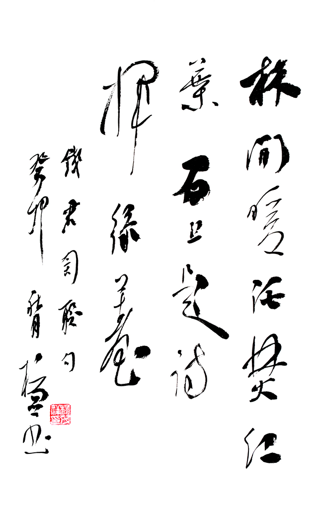 1719561189126648.jpg